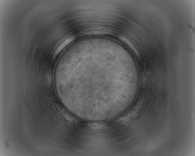 X0000091230874200709061517