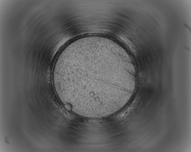 X0000091230875200709061517