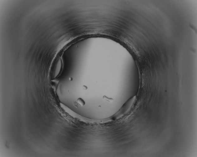 X0000091230876200709061517