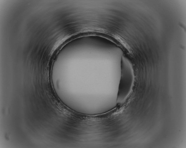 X0000091230877200709061517