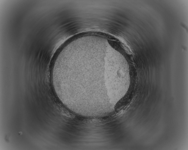 X0000091230879200709061517