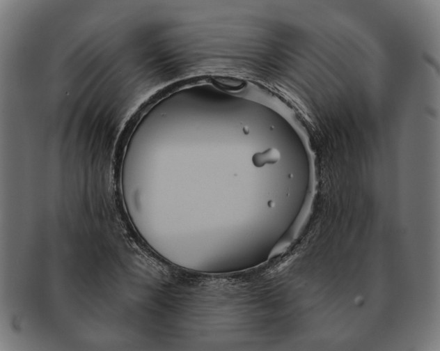 X0000091230880200709061517