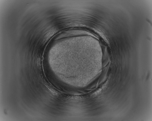 X0000091230881200709061517