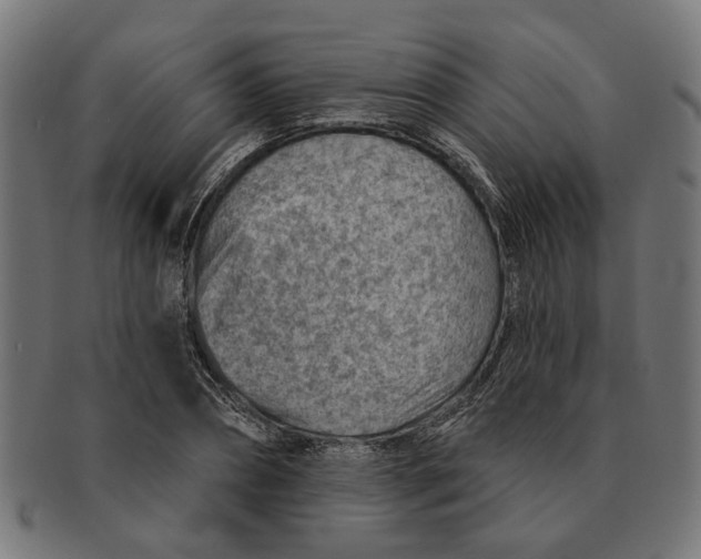 X0000091230882200709061517