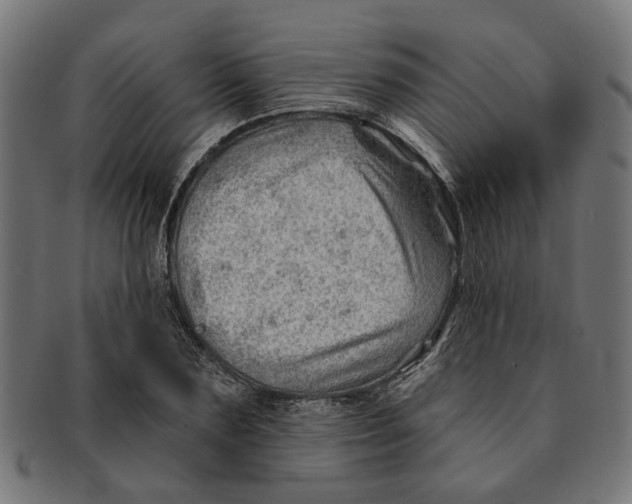 X0000091230883200709061517