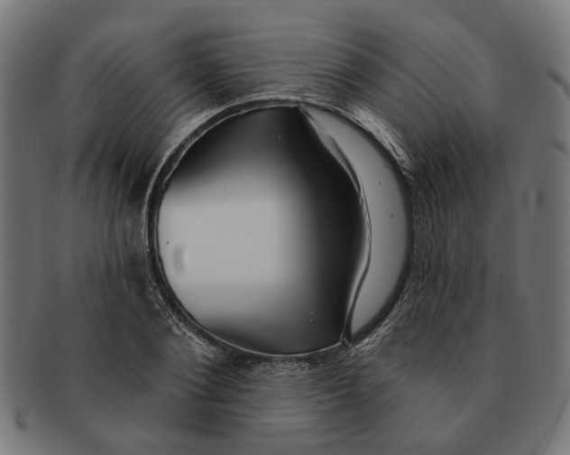 X0000091230884200709061517