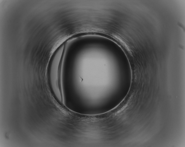 X0000091230885200709061517