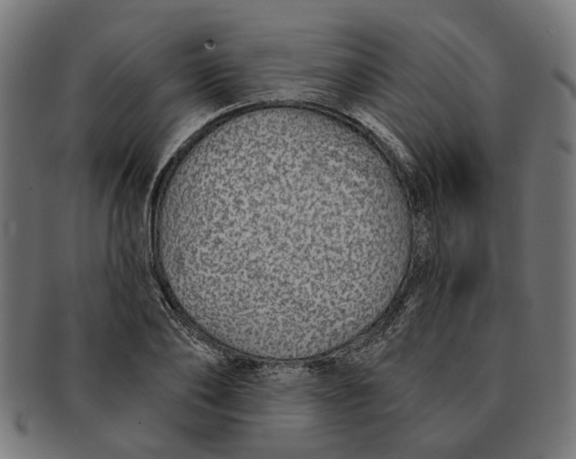 X0000091230886200709061517