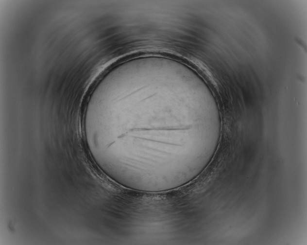 X0000091230887200709061517