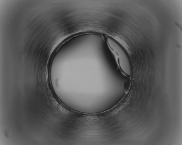 X0000091230888200709061517