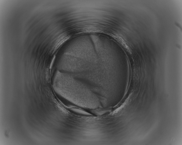 X0000091230889200709061517
