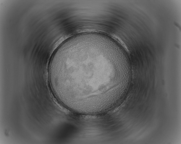 X0000091230890200709061517