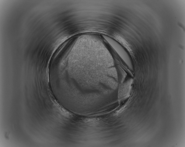 X0000091230892200709061517