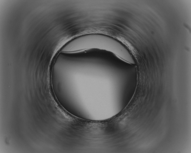 X0000091230894200709061517