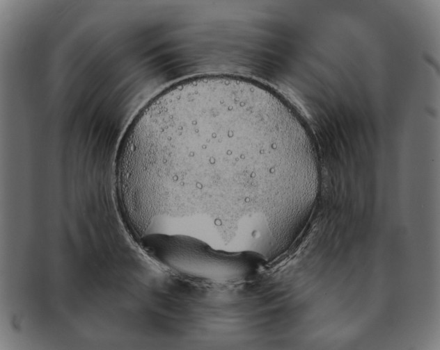 X0000091230895200709061517