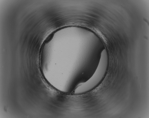 X0000091230896200709061517