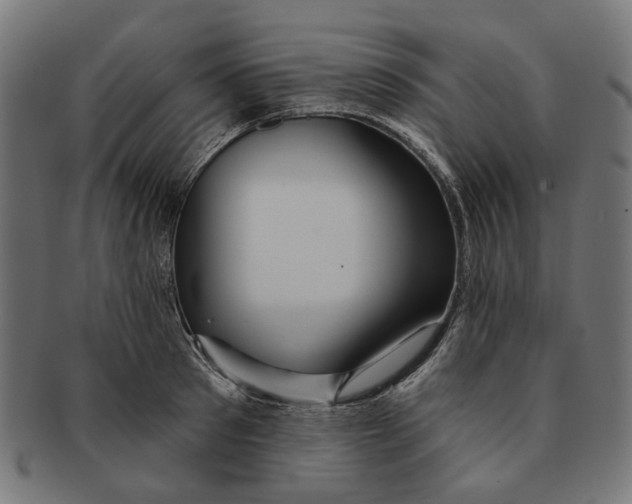 X0000091230897200709061517