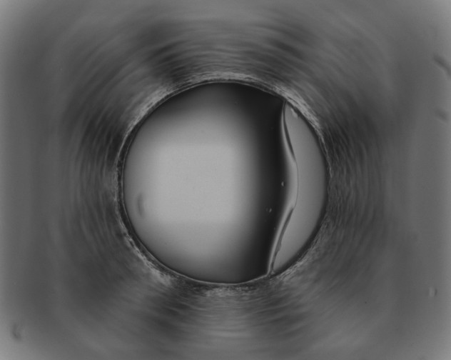 X0000091230898200709061517
