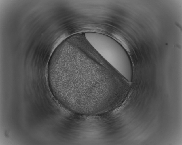 X0000091230899200709061517