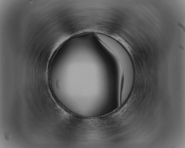 X0000091230902200709061517