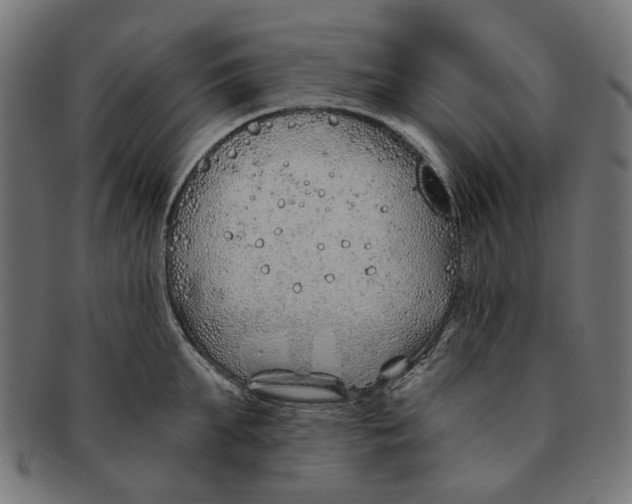 X0000091230903200709061517