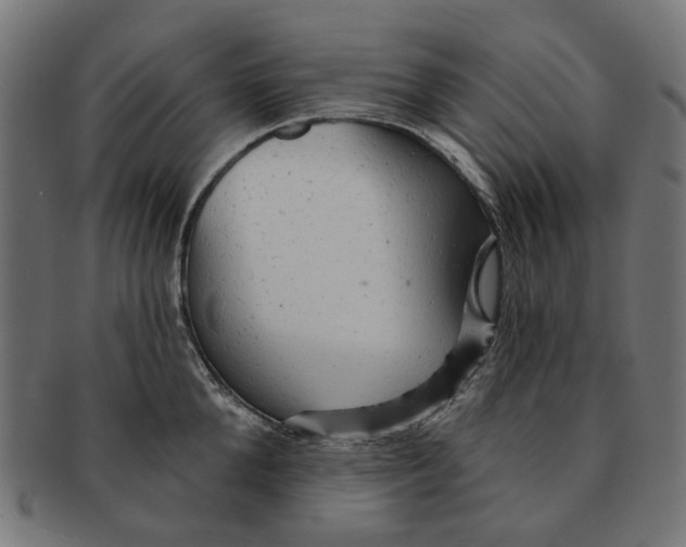 X0000091230904200709061517
