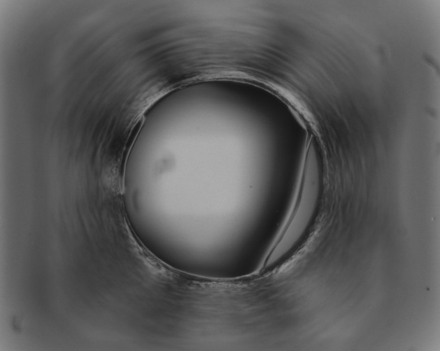 X0000091230905200709061517