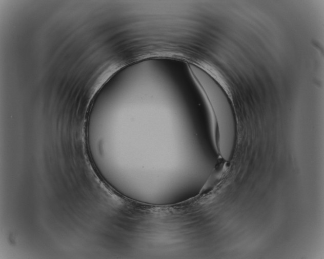 X0000091230906200709061517