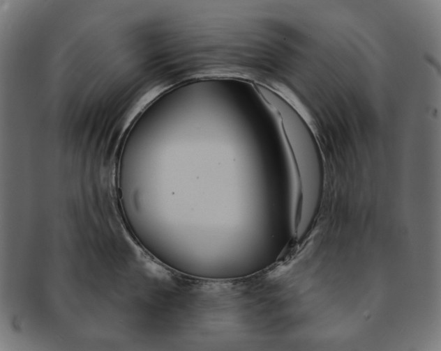 X0000091230909200709061516