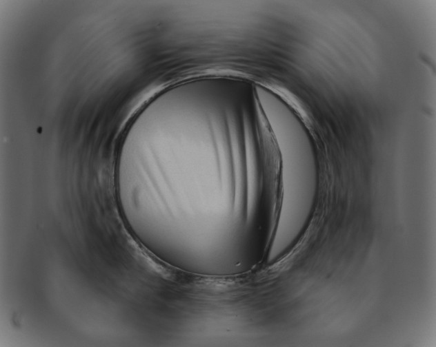 X0000091230910200709061516