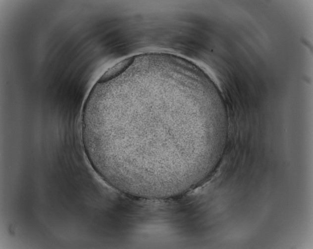 X0000091230911200709061516