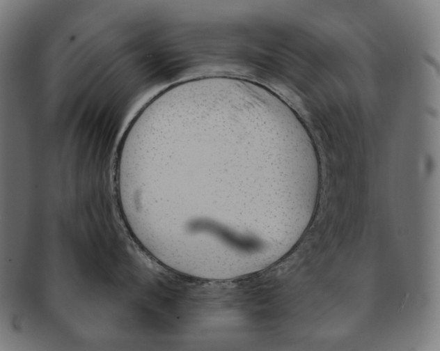 X0000091230912200709061516