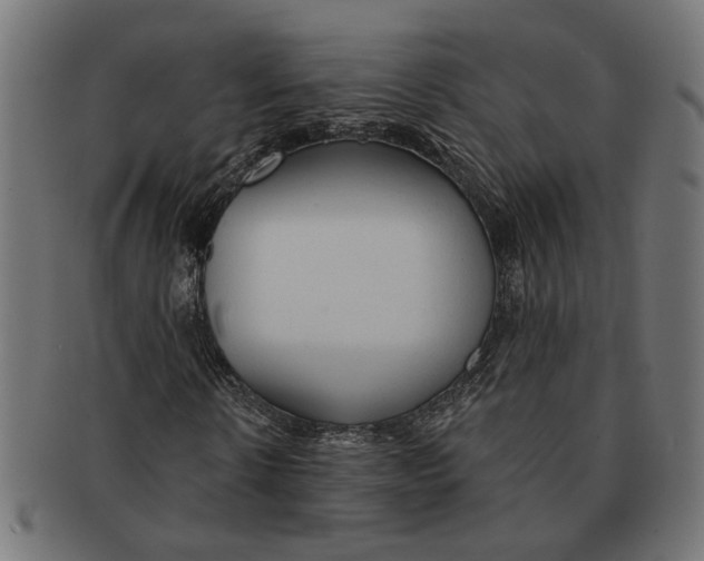 X0000091230914200709061516
