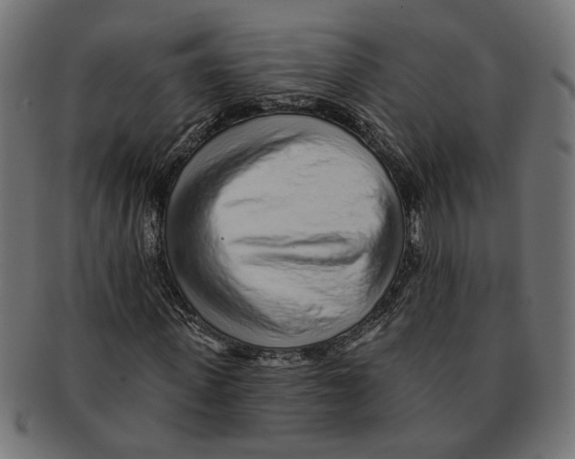 X0000091230915200709061516
