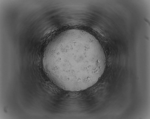 X0000091230917200709061516