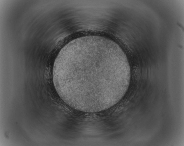 X0000091230918200709061516
