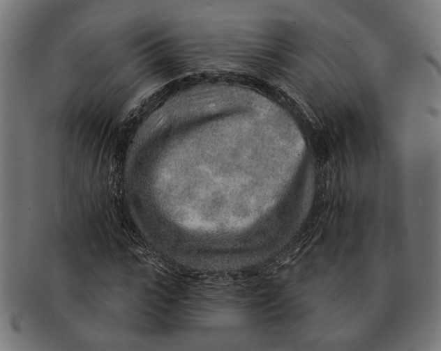 X0000091230919200709061516