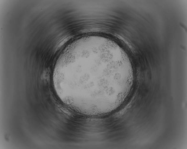 X0000091230921200709061516