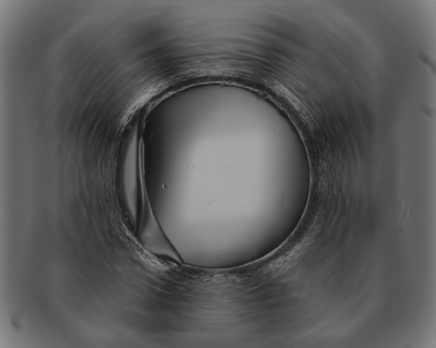 X0000091230922200709061516