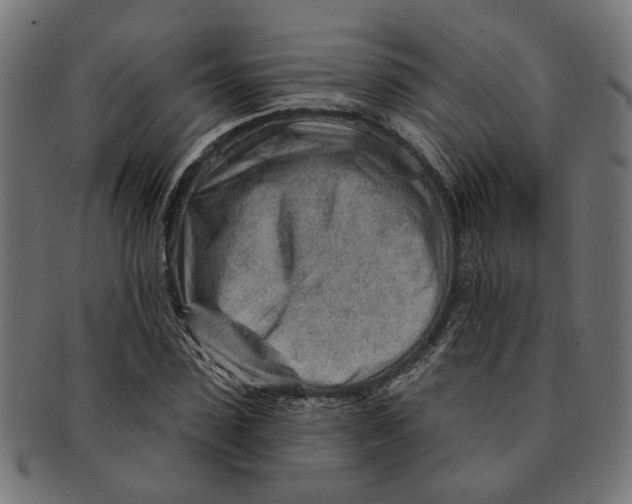 X0000091230923200709061516