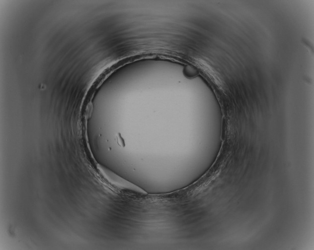 X0000091230924200709061516
