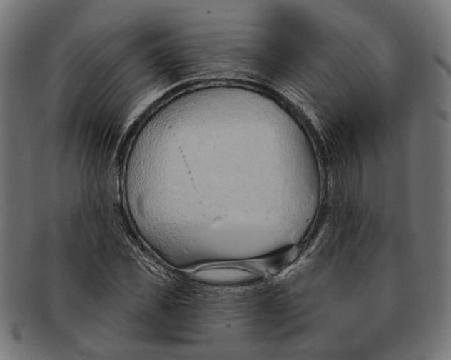 X0000091230925200709061516