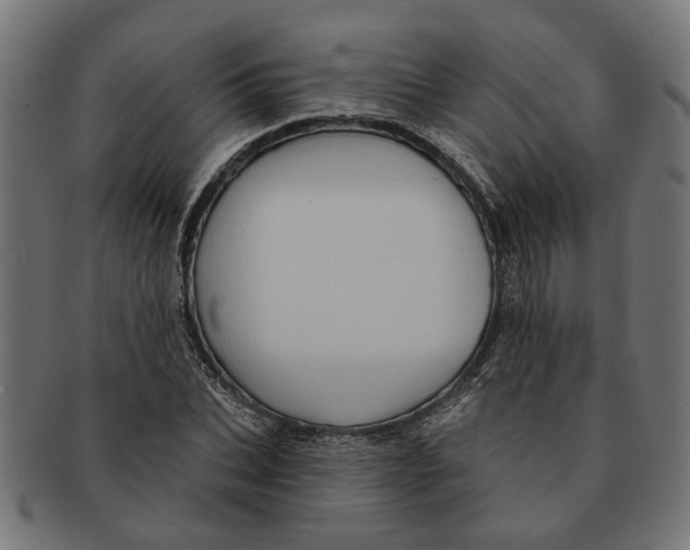 X0000091230927200709061516