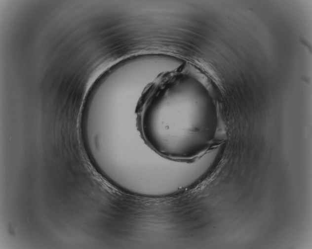 X0000091230928200709061516