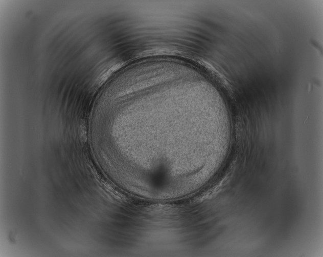 X0000091230929200709061516