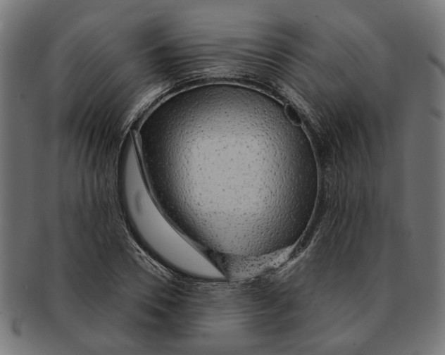 X0000091230930200709061516