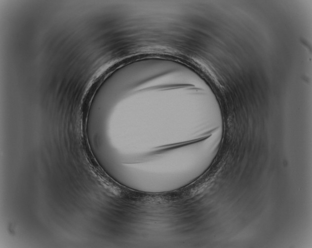X0000091230931200709061516