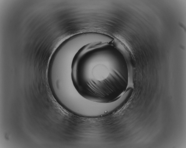 X0000091230932200709061516