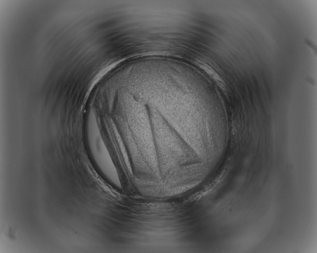 X0000091230933200709061516