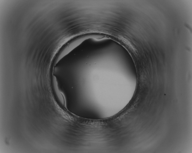 X0000091230934200709061516